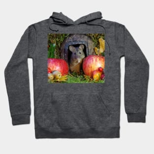 wild Autumn house mouse and  apple Hoodie